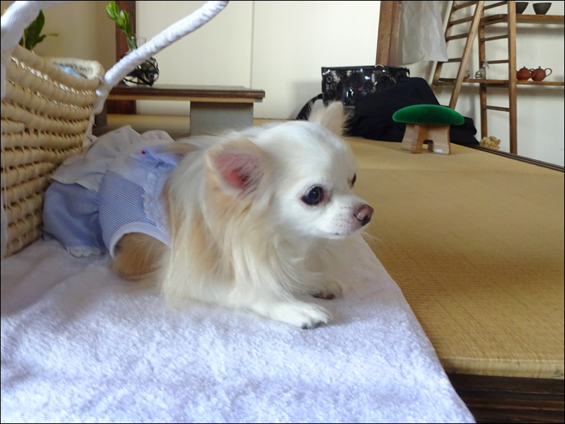 DSC01205.jpg